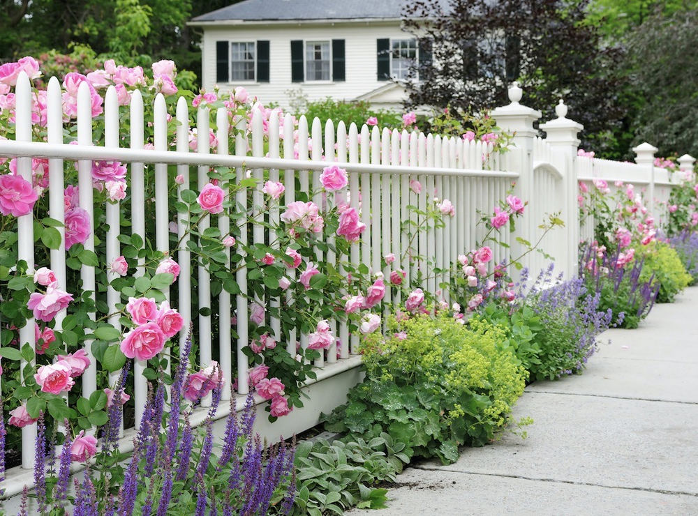 How to Choose a Fence for Your Nexton Home